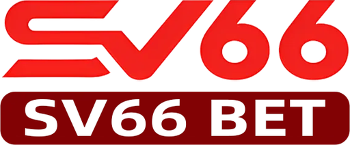 vnsv66.net Logo